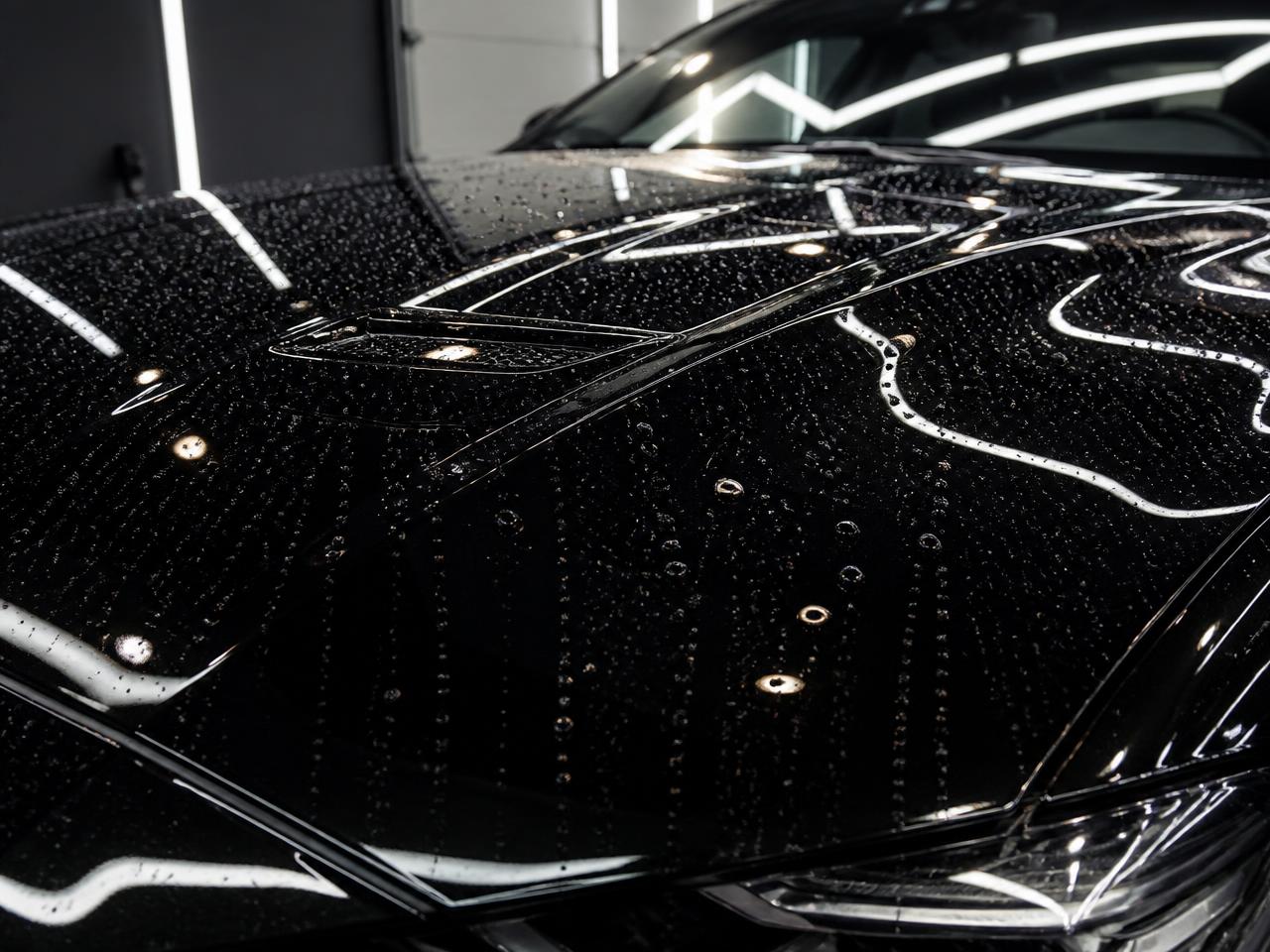 Detailer machine-polishing a black car panel